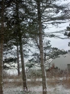 watermarked-2012-11-30 10.29.20