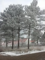 watermarked-2013-01-25 10.25.28