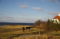 watermarked-IMGP7205