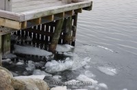 watermarked-IMGP7287