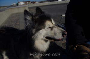 watermarked-IMGP7867