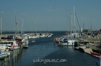 watermarked-IMGP8991