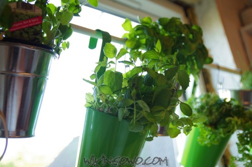 watermarked-IMGP8808