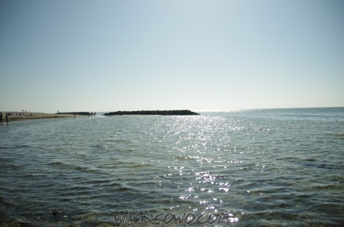 watermarked-IMGP8841