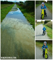collage5