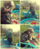 collage2