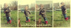 collage3