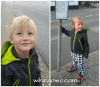 collage4